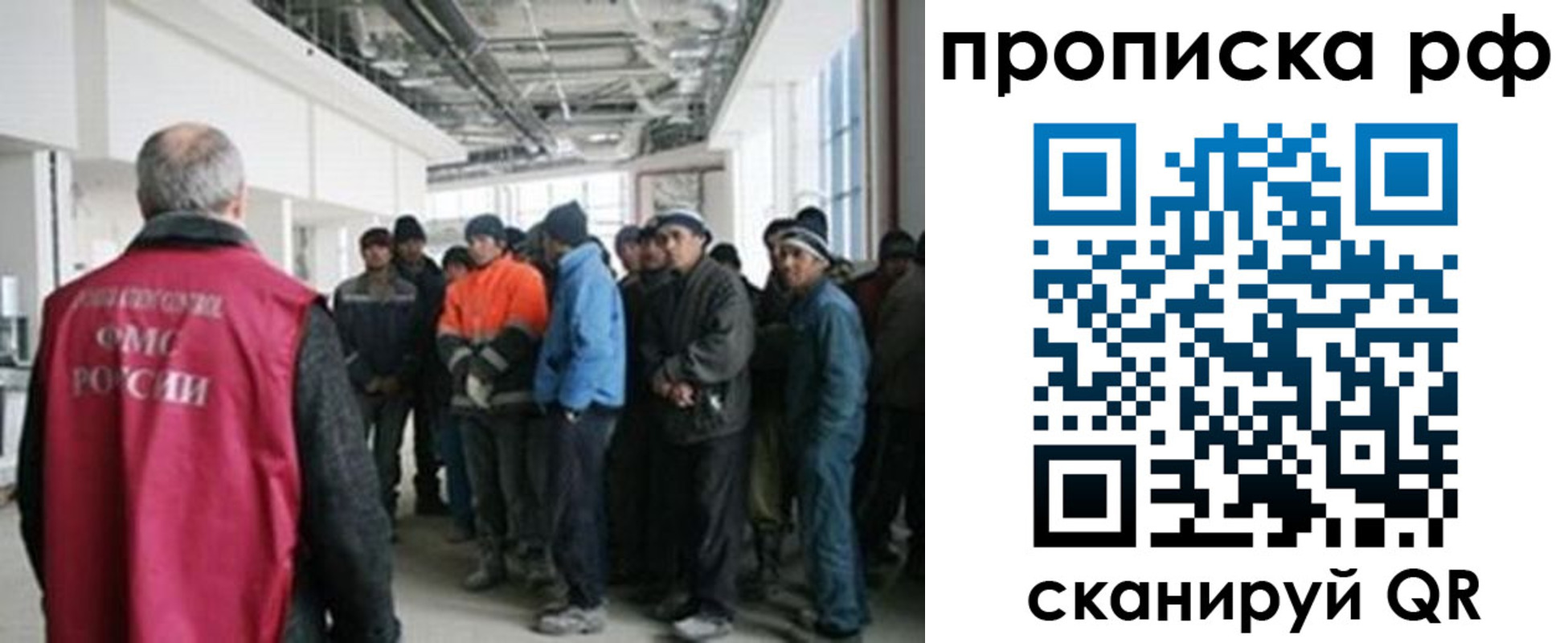 прописка поиск в Светогорске